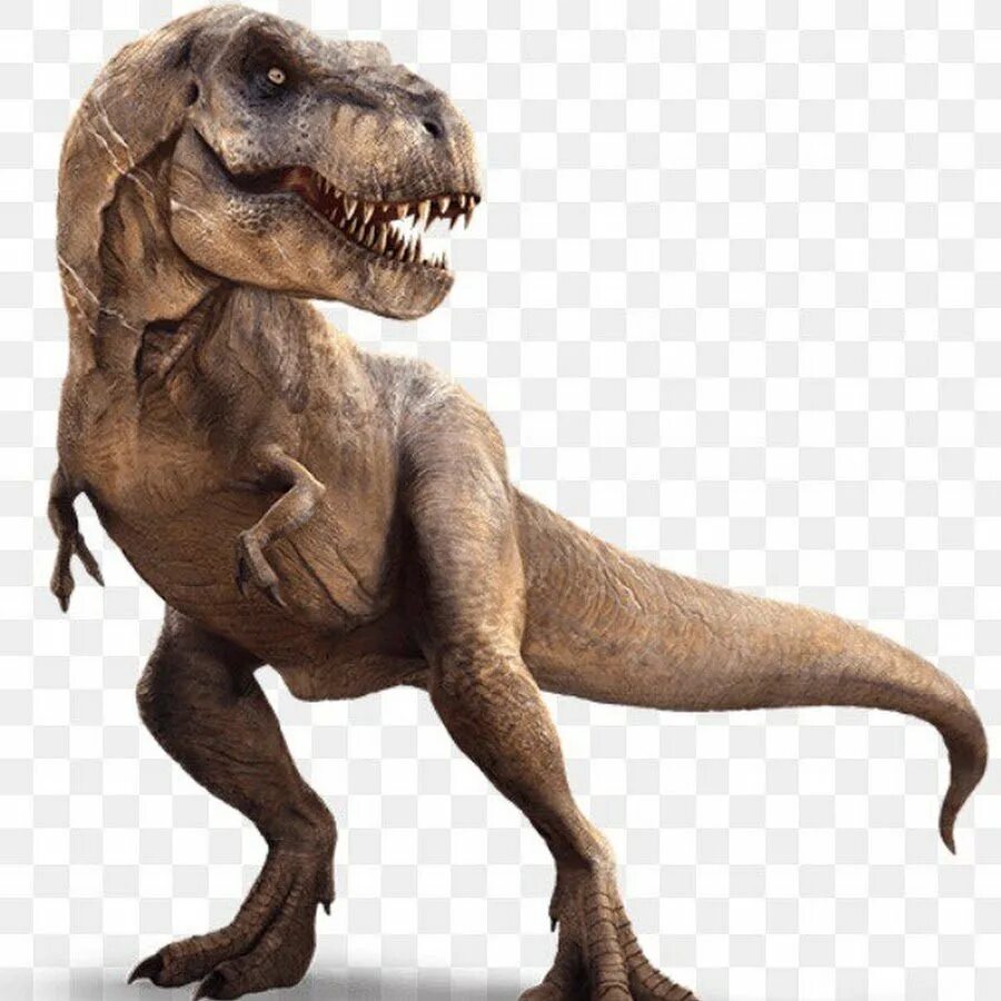 Тираннозавр мир Юрского периода. Мир Юрского периода Тиранозавр. Тарбозавр Jurassic World. Тираннозавр рекс Jurassic World.