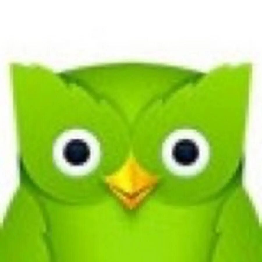 Совенок Дуолинго. Птичка Дуолинго. Duolingo 2012. 18 duolingo