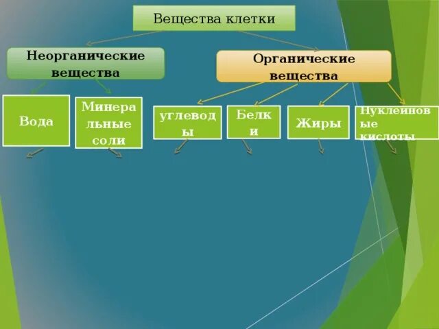 К неорганическим соединениям относятся 1 вариант. Органические и неорганические вещества клетки. Неорганические вещества клетки кислоты. Органические и неорганические вещества клетки таблица. Неорганические вещества клетки являются.