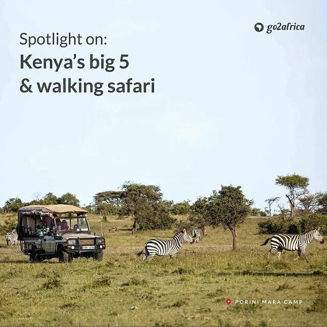 Цвет африка 2. Кипр вторая африка. аос 2 африка. go to africa. robert and his parents went on an african safari they.