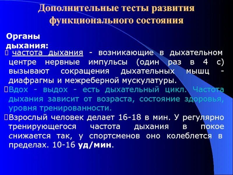 Снижение частоты дыхания человека связано с. Частота дыхания. Частота дыхания зависит от. Циклы частоты дыхания.