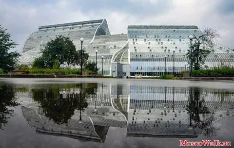 Новая фондовая оранжерея ботанического сада