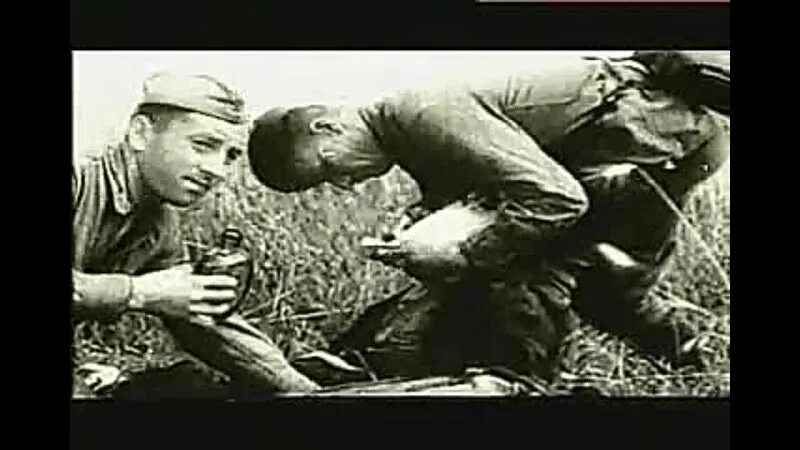 товарищ старший сержант я верю. товарищ старший сержант китайцы. товарищ старший сержант уходит чтоб. товарищ старший сержант прикурить сержант. товарищ старший сержант.