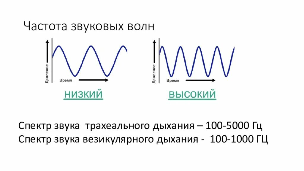 Частотный диапазон акустических волн. Спектр частот акустических волн. Частота звуковой волны. Низкочастотная звуковая волна. Формула частоты звукового сигнала