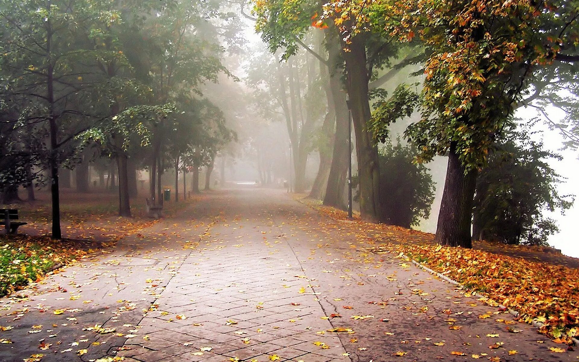 Осень без людей. Осенняя улица. Осенний город. Осень в городе. Улица осень.