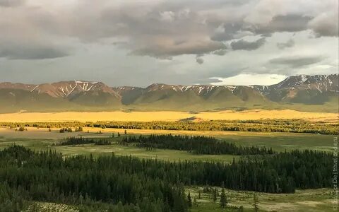 Село курай