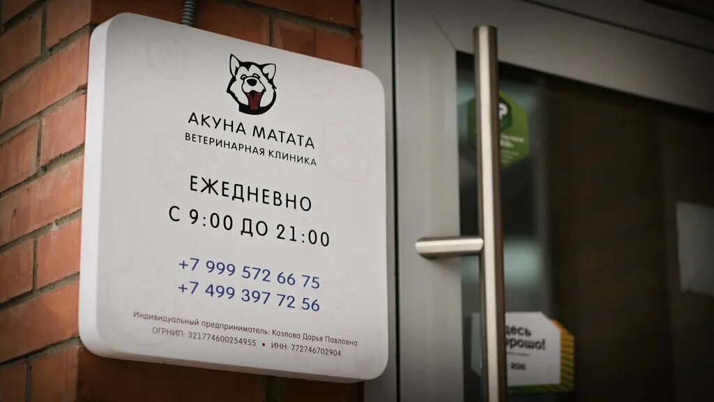 Акуна матата калуга зоомагазин каталог товаров. Акуна матата новосибирск. Акуна матата курск льговский поворот график работы. Akuna matata official. Акуна матата эмблема.