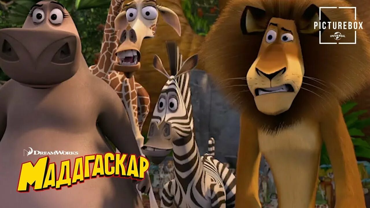 Цвет мадагаскар. Мадагаскар (madagascar) 2005.