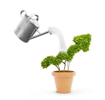 Can grow