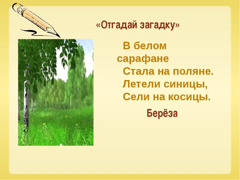 Загадки о родине с ответами