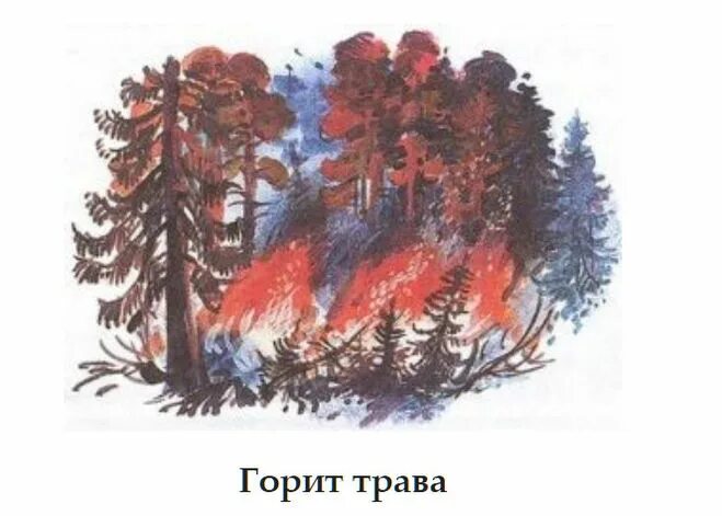 На поляне горит костер. Великан на поляне костёр на поляне. плешаков а. горит трава. плешаков горит костер. рассказ горит костер.