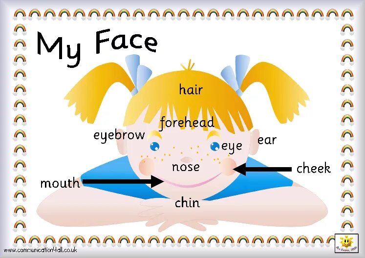 Лоб перевод. Face Parts. My face. Face in English for Kids. My face картинка.