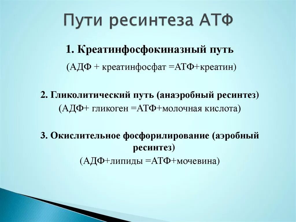 Анаэробный ресинтез атф. Схема аэробного механизма ресинтеза АТФ. Аэробный ресинтез АТФ осуществляется при распаде. Пути совершенствования процессов ресинтеза АТФ. Характеристика путей ресинтеза АТФ.