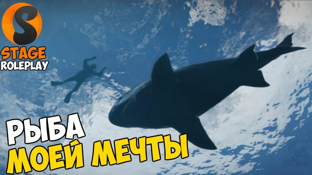 Рыба рп. Рыба рп. Рыба моей мечты игра. Next rp рыбалка. Бот для рыбалки.