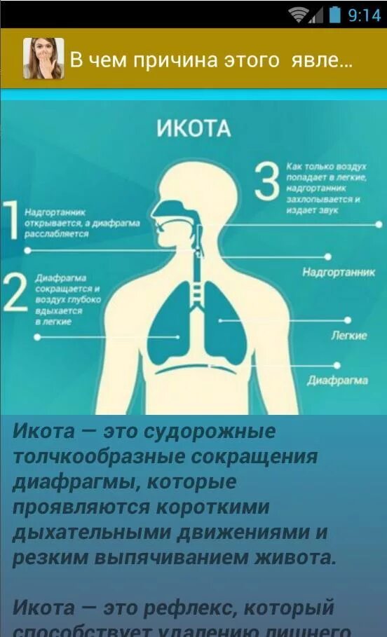 От чего бывает икота. Способы избавления от икоты. методы избавления от икоты. как избавиться от икоты. икота причины.
