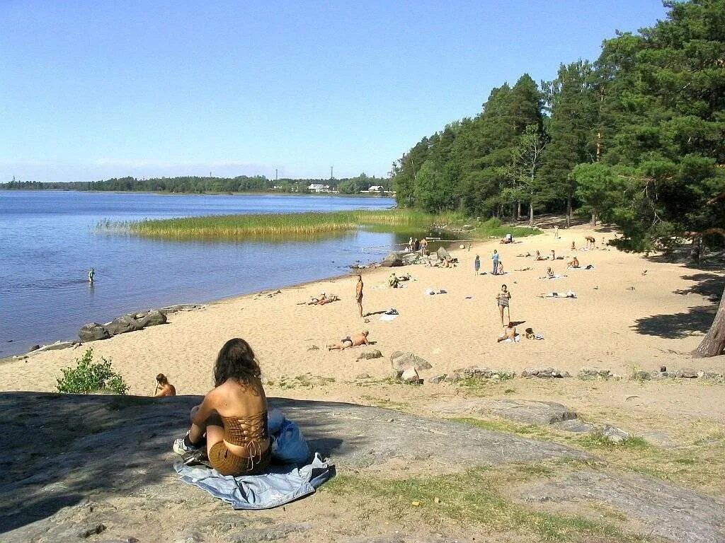 Озера области для купания. Приозерск пляж. Пляжи Ленобласти. Озеро с песчаным пляжем. Купаться в озере.