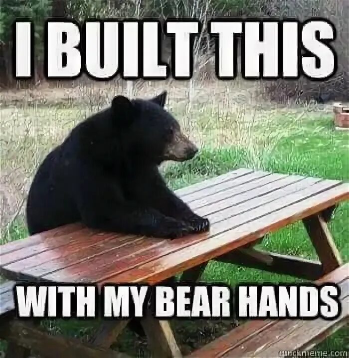 Bear hand. Май беар. My bear. My bear. Три медведя панда бурый и белый.