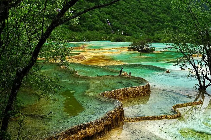 Травертиновые террасы хуанлун. Национальный парк хуанлун, сычуань. Какой заповедник в китае. Какой заповедник в китае. Долина хуанлун китай.