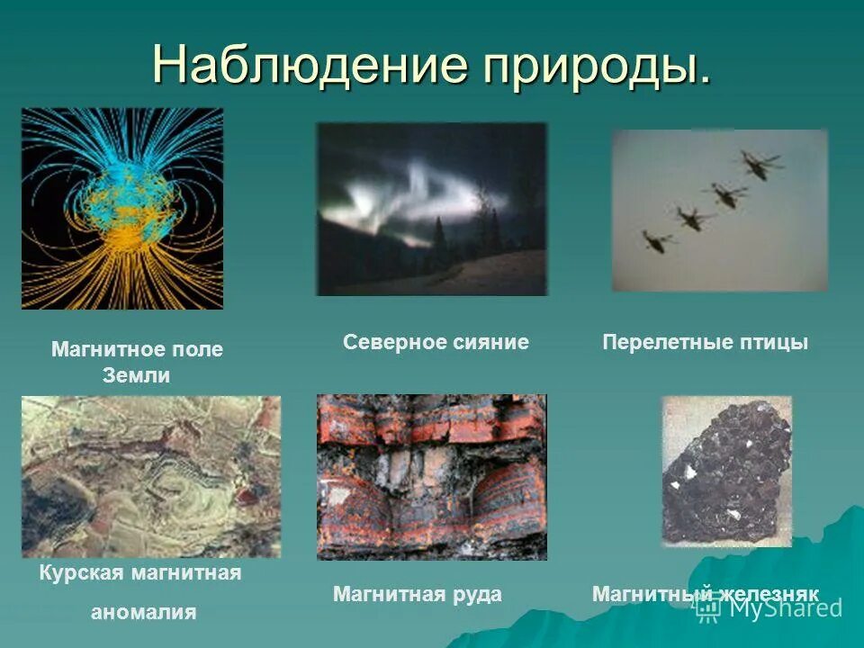 электромагнитное поле в природе. электромагнитное поле зем. магнитное поле земли. магнитные волны земли. электромагнитное поле человека.