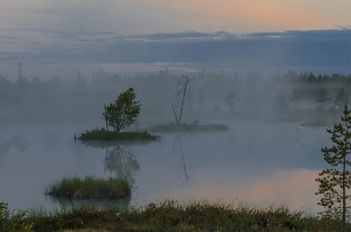 карелия рассвет туман. три тумана карелия. три тумана карелия. три тумана карелия. туман на болоте.