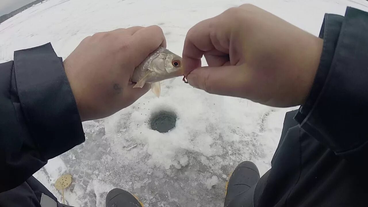 Зимняя рыбалка на Белоярском водохранилище. Рыбалка на Белоярке зимой. Зимняя рыбалка на Белоярке. Ловля леща на Белоярском водохранилище зимой.