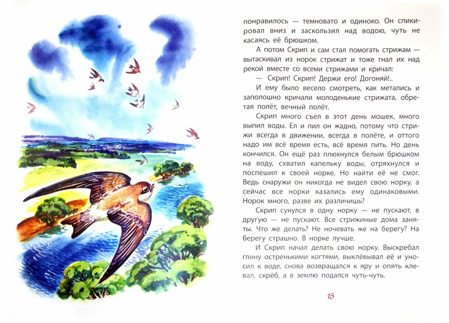 Почему стрижата остались одни как писателю. Астафьев рассказ стриже скрипе. Сказка Астафьев Стрижонок скрип.