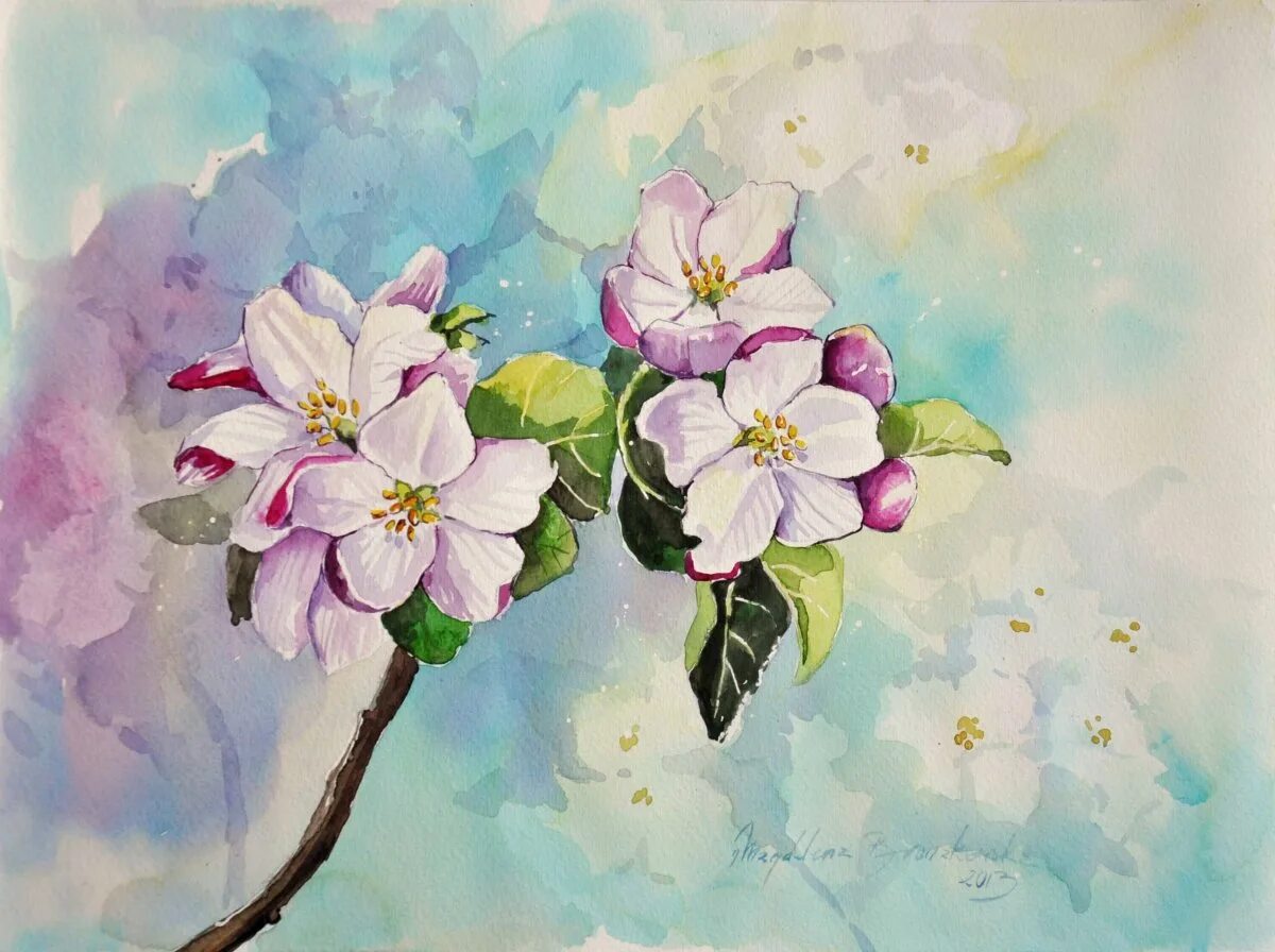 Ветка цветущей яблони акварель. Рисование цветущая ветка. Рисунок цветущего. Ветка сакуры рисунок. Рисунок цветущего.