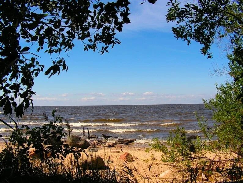 Погода милюшино рыбинский. Милюшино Рыбинское водохранилище. Рыбинское море Милюшино. Милюшино Рыбинское водохранилище пляж. Деревня Милюшино Рыбинское водохранилище.