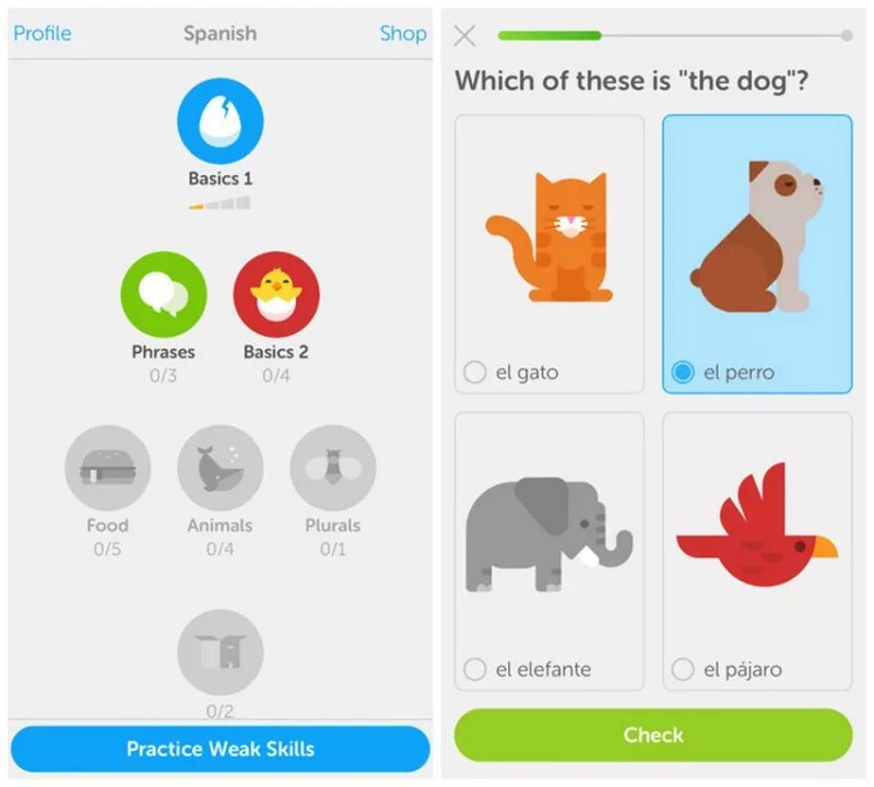 Www duolingo. Duolingo приложение. Duolingo скрины. Картинка приложения Duolingo. Duolingo игрушка.