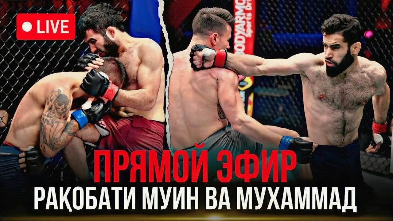 Ufc мухаммад наимов прямой эфир