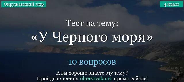 Тест на черном море. Тест у черного моря. Вопросы про черное море. Тест у черного моря 4 класс. Вопросы на тему чёрное море.