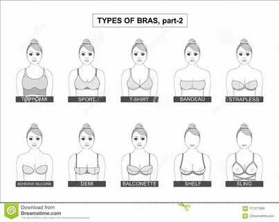 Female Bras Stock Vector - Illustration. types of t shirt for girl. 