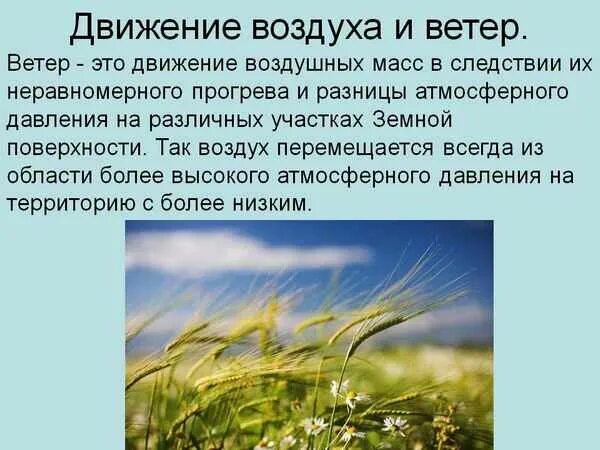 Движение воздуха. Ветер это движение воздуха. Движение воздуха в природе. Конспект на тему движение воздуха. Ветер ответ принесет