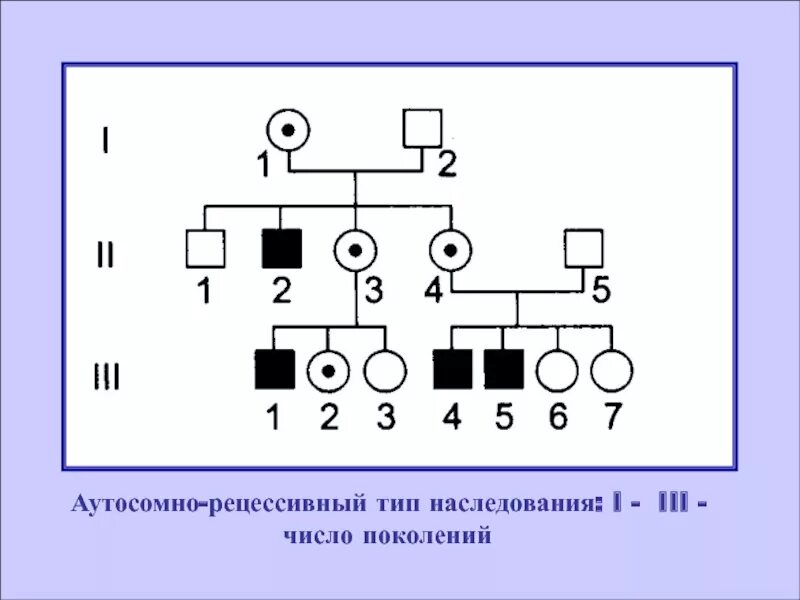 Рецессивно доминантный тип наследования. 2. Аутосомно-рецессивный Тип наследования. Аутосомный рецессивный Тип наследования схема. Аутосомно-рецессивный (ar) Тип наследования. Аутосомно-рецессивный Тип наследования схема.