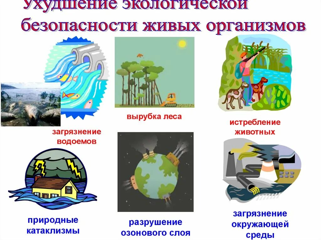 Экология жизнедеятельности. Экологическая безопасность. принципы экологической безопасности. экологическая безопасность презентация. экология и безопасность.