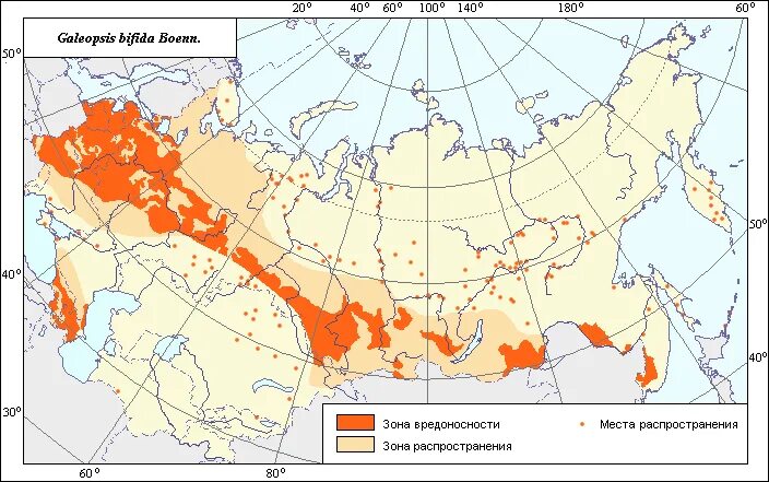 лиственница ареал обитания. ареал флоры. ареал флоры. виды ареалов растений. арктоальпийский ареал.