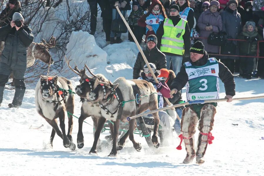 Открытие праздника севера мурманск 2024. Праздник севера. Праздник севера Мурманск. Праздник севера арка. Праздник севера 2022 Мурманск.