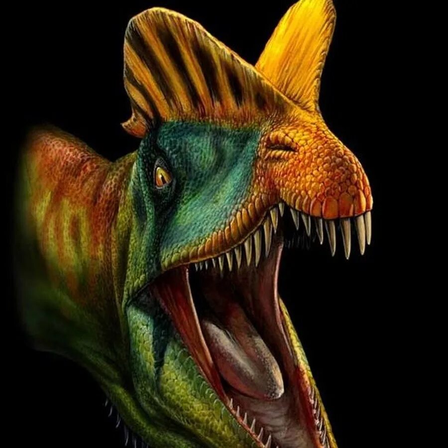 Динозавр с двумя головами. Динозавр с двумя головами. Дилофозавр динозавры юрского периода. Динозавр с двумя головами. Дилофозавр papo.