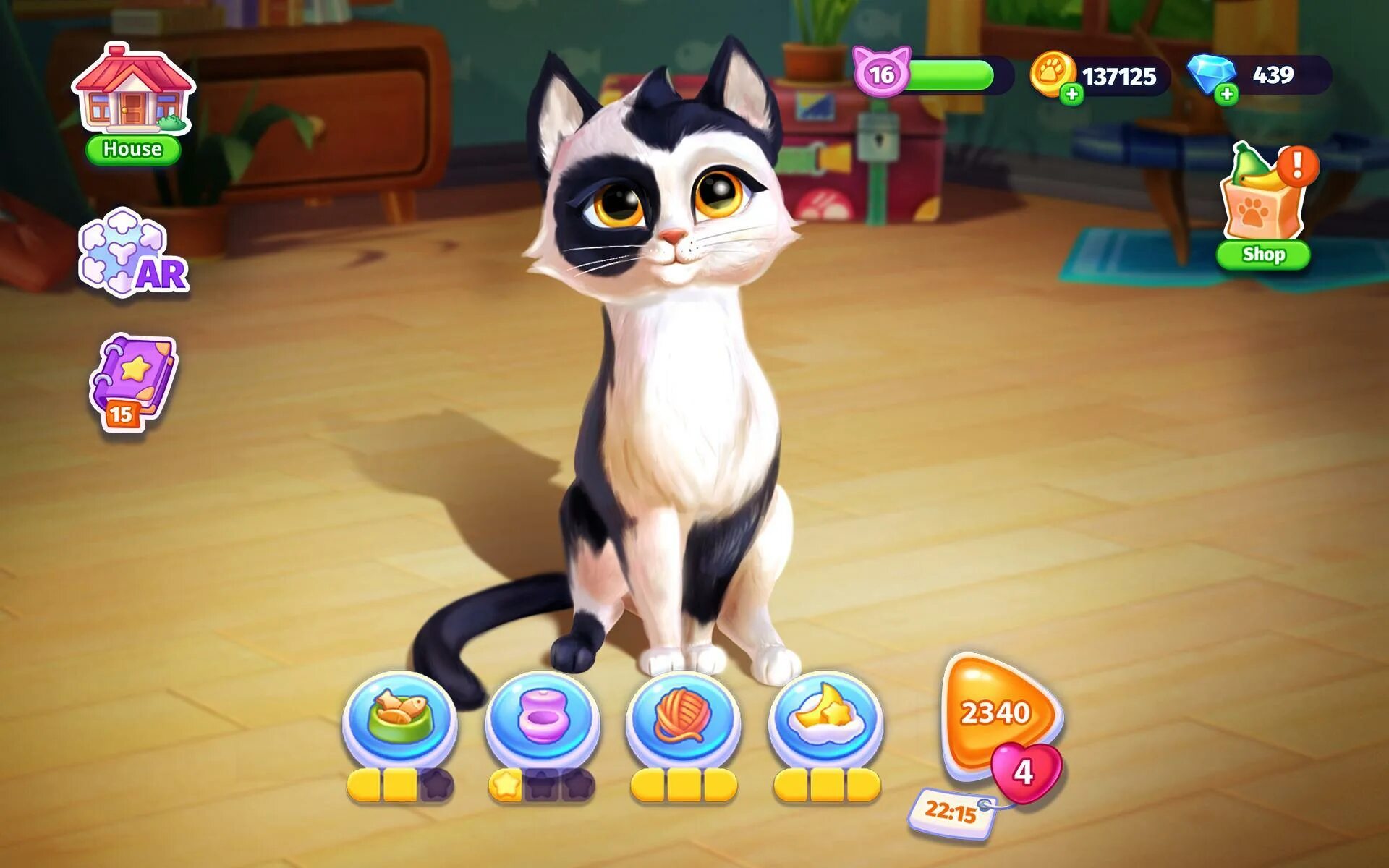 Игры про кошечек. Игры для кошек. Игра питомцы Cats. Петс кетс игра. Игры кошки русские