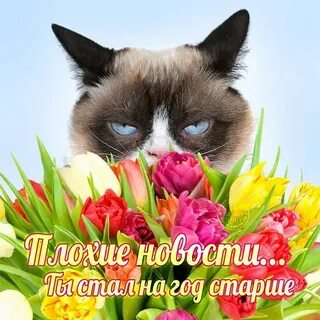 День рождения в марте картинки мужчине