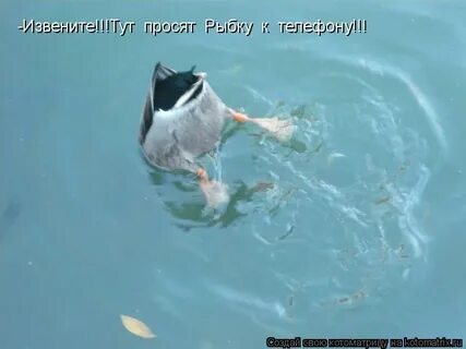 Тут проси не проси