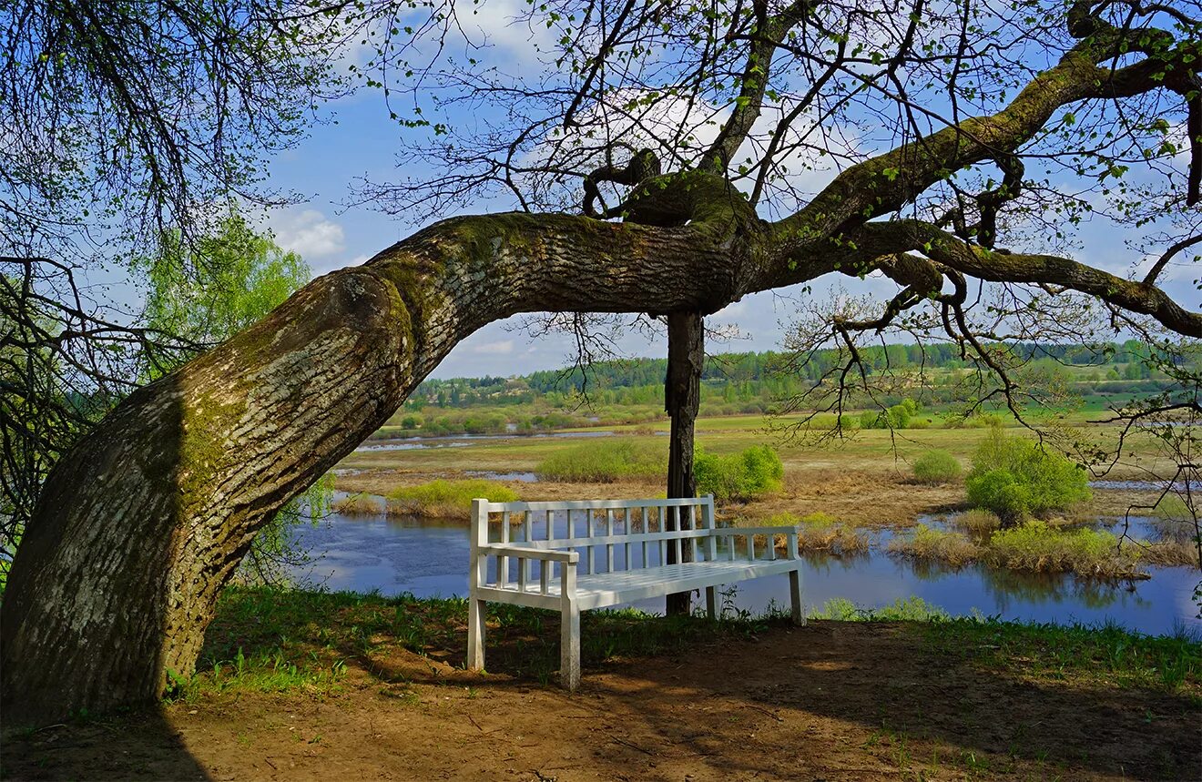 пушкинские горы псков. пейзажи пушкинские горы. легенды пушкинских гор. пушкиногорье усадьба. пушгоры осень михайловское.