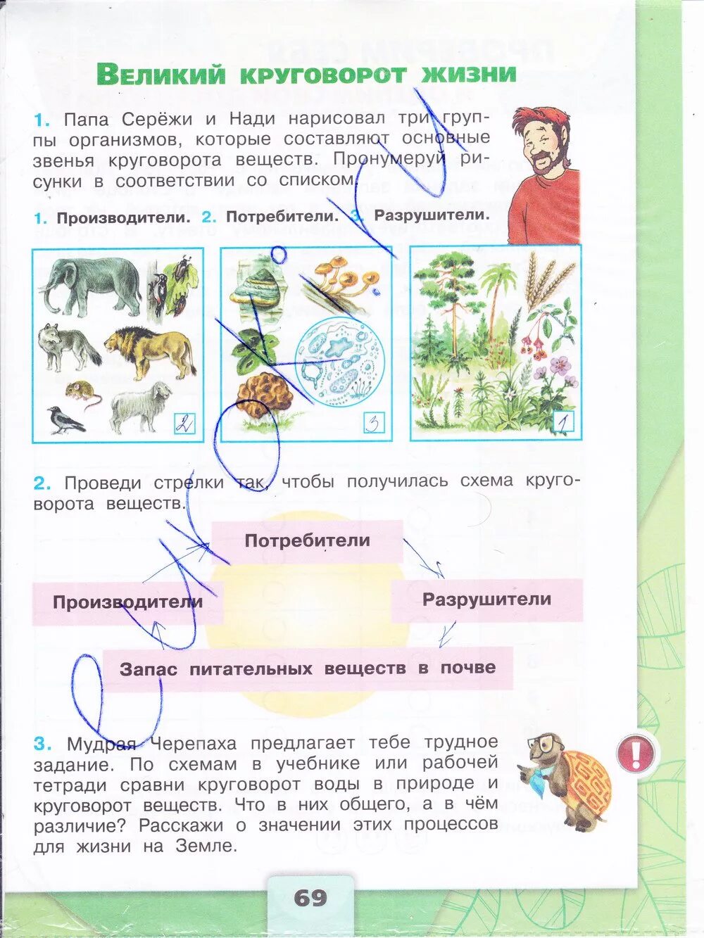 Окр мир з. Гдз окружающий мир 3 класс рабочая тетрадь Плешакова. Гдз по окружающему миру 3 класс рабочая тетрадь 1 часть стр 68-69 проект. Окружающий мир 3 класс рабочая тетрадь 1 часть стр 68 69 проект. Окружающий мир рабочая тетрадь 3 класс 1 часть Плешаков страница 68-69.