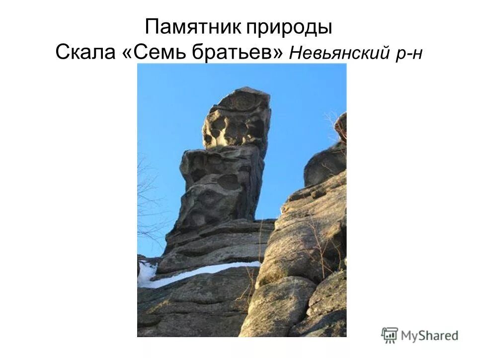 семь братьев имена разные