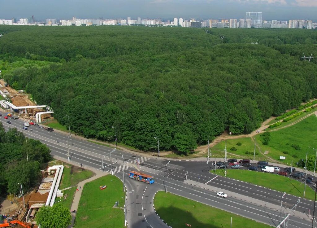 Ясенево южная. Ясенево Битцевский парк. Битцевский лесопарк Москва. Битцевский лес Ясенево. Битцевский парк Москва вид сверху.