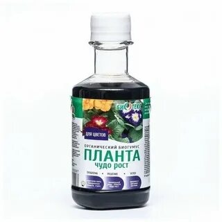 Планта чудо