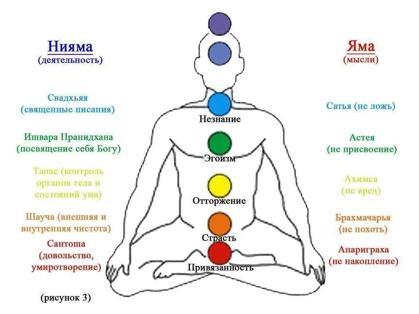 8 Ступеней йоги принципы ямы и Ниямы. Яма и Нияма ступень йоги. Яма Нияма йога принципы. Яма Нияма таблица. Чакры названия и расположение