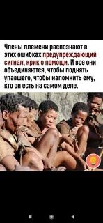 Племя цитаты