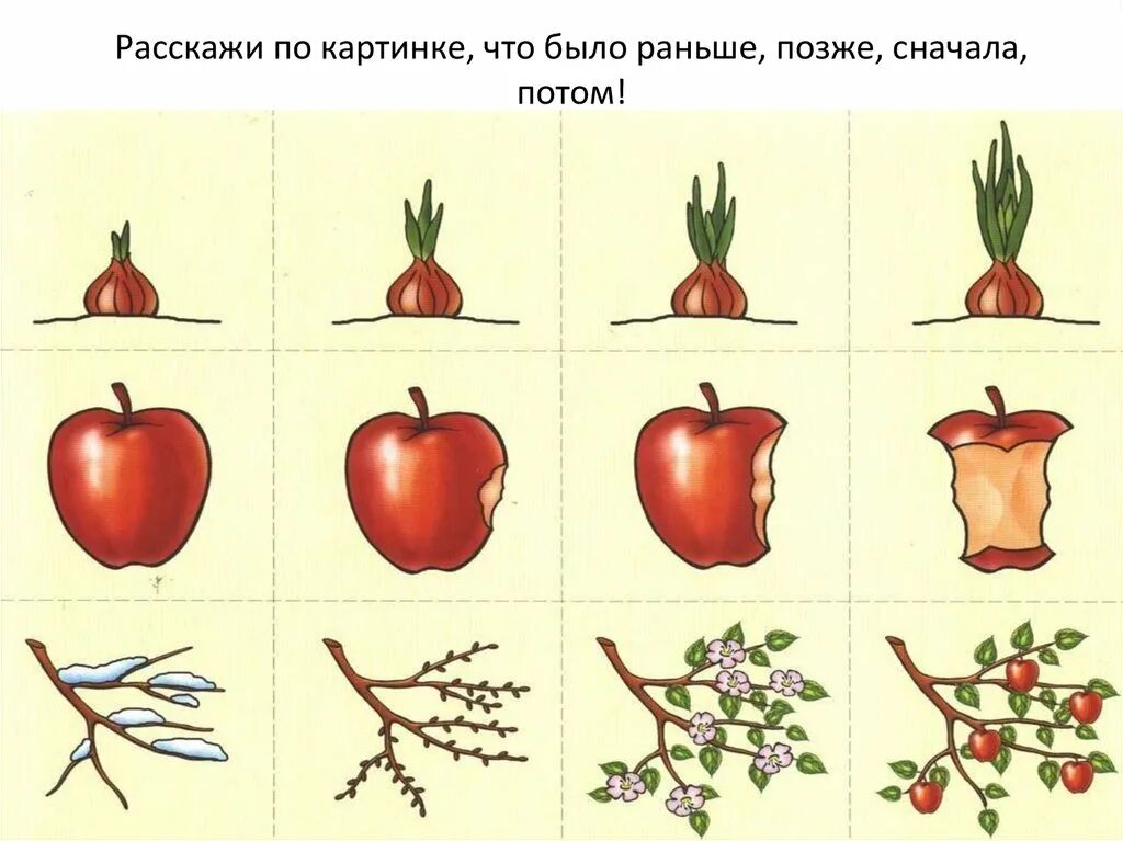 что было раньше что потом. что сначала что потом в картинках для детей. что было раньше что потом для дошкольников. что было раньше что потом. что было сначала а что потом картинки.