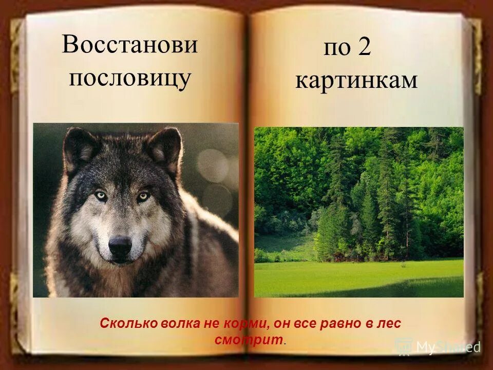 Волки сколько страниц. Сколько волка не корми все. Как волка не корми он все в лес смотрит. Поговорки сколько волка не. Сколько волка не корми все равно в лес смотрит.